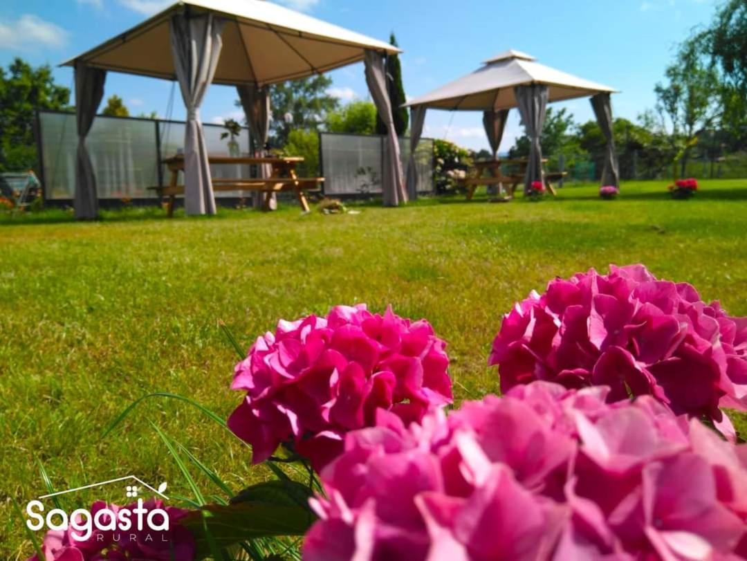 El Llagar - Sagasta Rural Oviedo Guest House Exterior photo