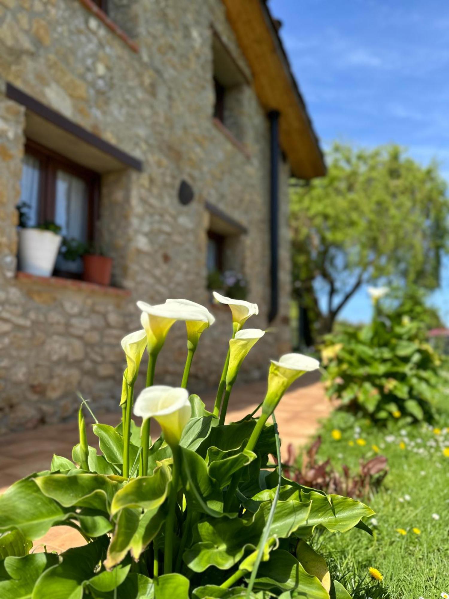 El Llagar - Sagasta Rural Oviedo Guest House Exterior photo